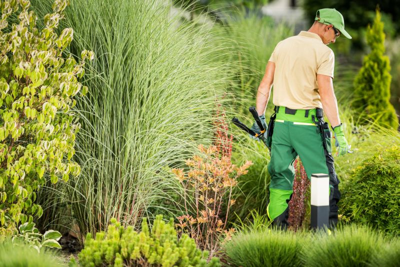 Landscape Electrician Service