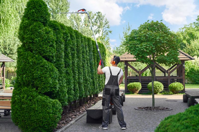 Landscape Electrician Service